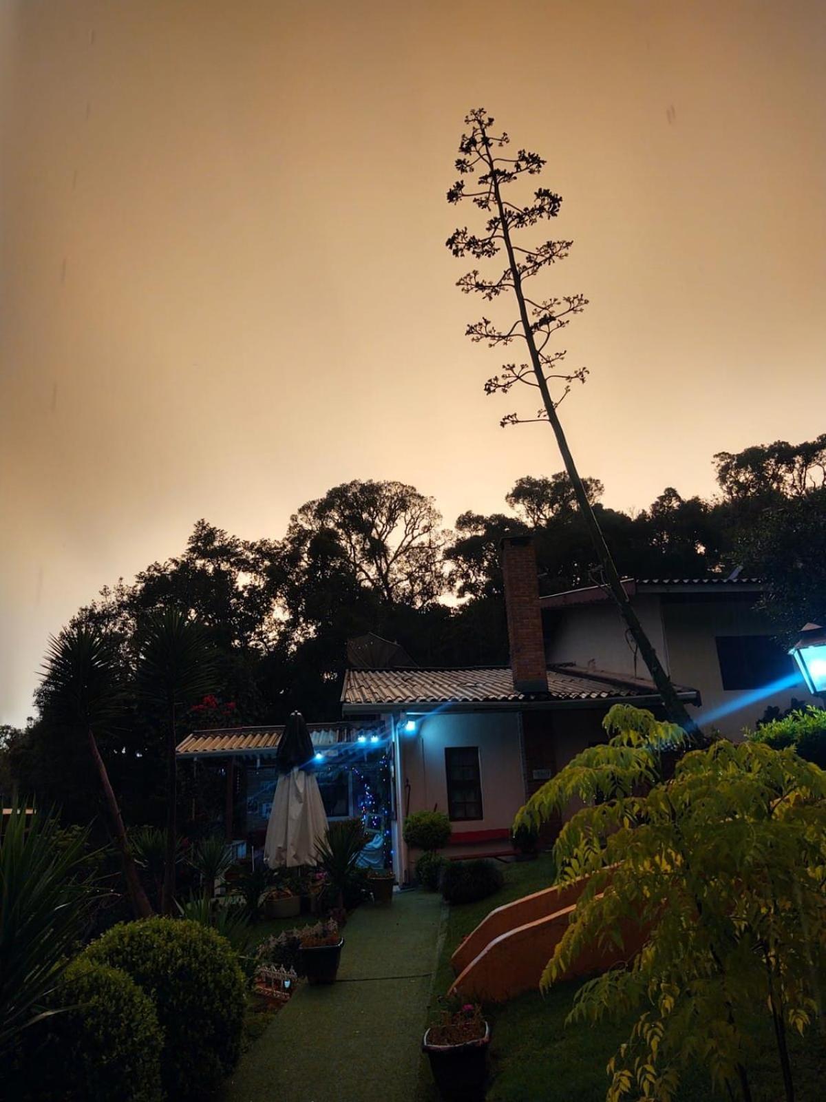فندق Rancho Da Raposa Campos do Jordão المظهر الخارجي الصورة